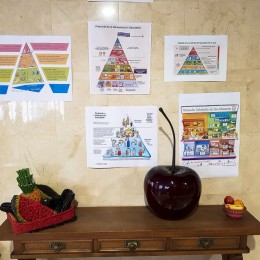 formacion-para-educar-en-la-importancia-de-una-alimentacion-sana_20190220_124318 actualidad